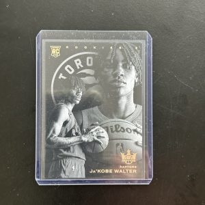 2024-25 Court Kings Ja’Kobe Walter Rookie LEVEL 0 SSP RC Toronto Raptors